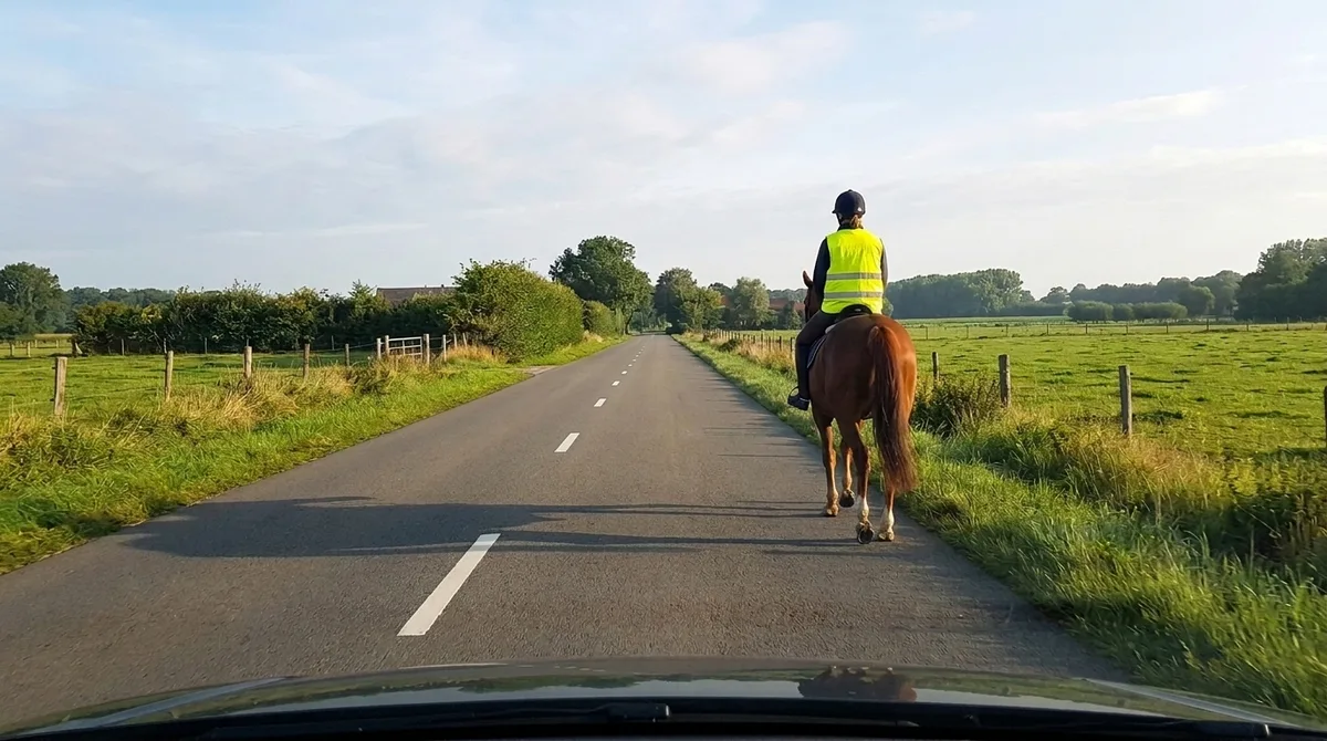 Vanuit de auto: een ruiter met een geel hesje rijdt rechts op de rijstrook, een eind voor je uit.
