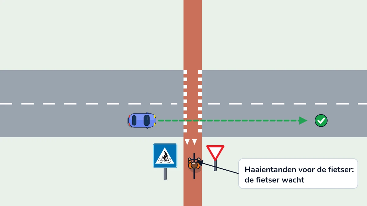 Een fietsoversteekplaats met haaientanden en een bord B1 op het fietspad: de fietser wacht achter de haaientanden, de blauwe auto rijdt door.