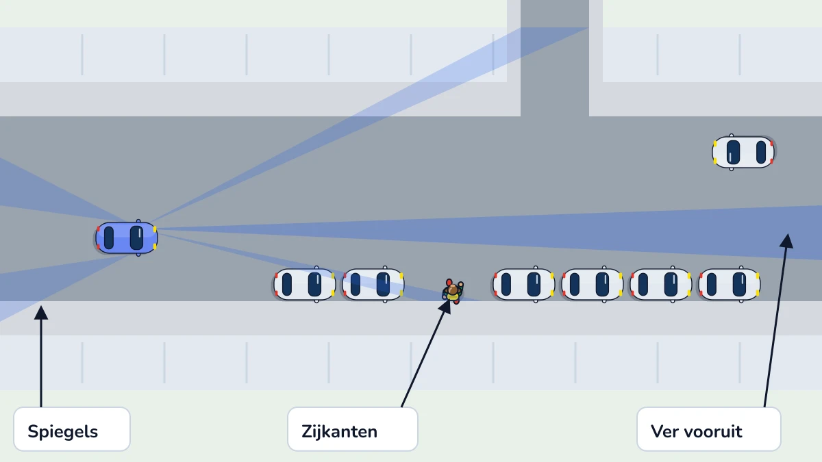 Illustratie bij: Kijken, verwachten, handelen